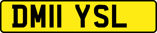 DM11YSL