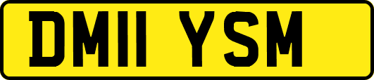 DM11YSM