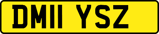 DM11YSZ