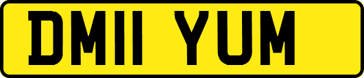 DM11YUM