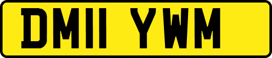 DM11YWM