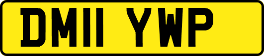 DM11YWP