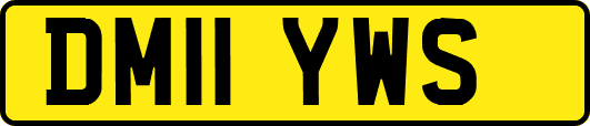 DM11YWS