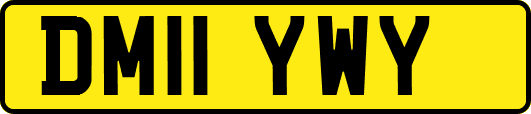 DM11YWY