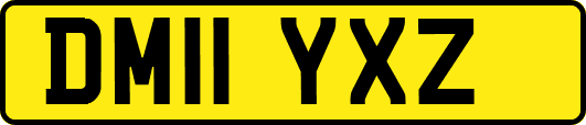 DM11YXZ