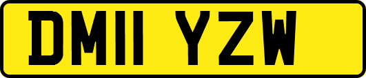 DM11YZW