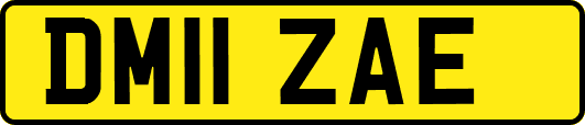 DM11ZAE