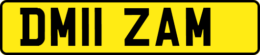 DM11ZAM