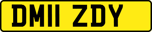 DM11ZDY