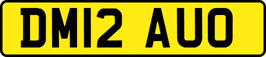 DM12AUO