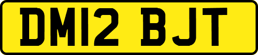 DM12BJT