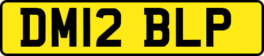 DM12BLP