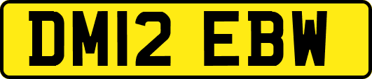 DM12EBW