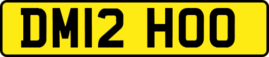 DM12HOO