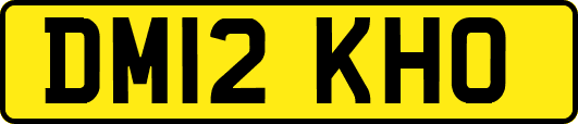 DM12KHO