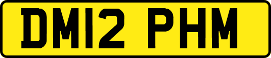 DM12PHM