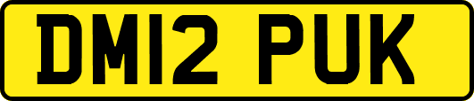 DM12PUK
