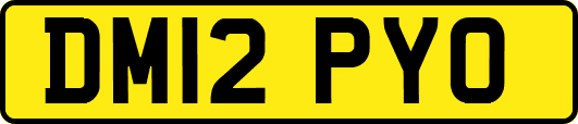 DM12PYO