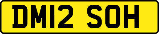 DM12SOH