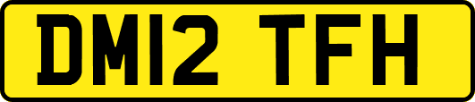 DM12TFH