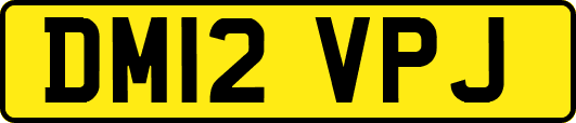 DM12VPJ