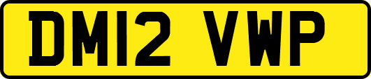 DM12VWP