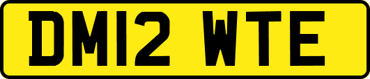 DM12WTE