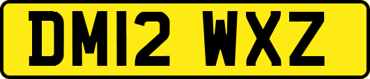 DM12WXZ