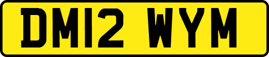 DM12WYM