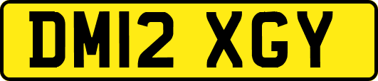 DM12XGY