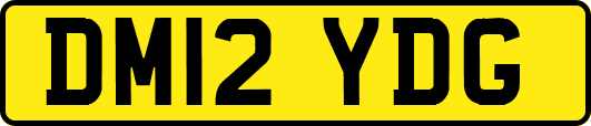 DM12YDG
