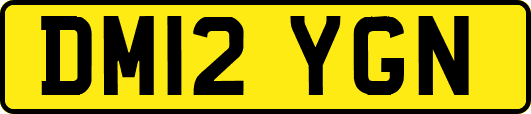 DM12YGN