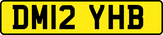 DM12YHB