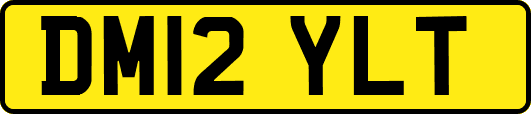 DM12YLT