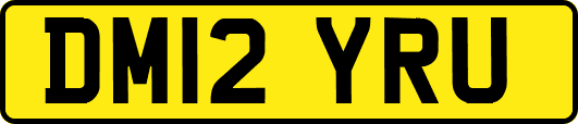 DM12YRU