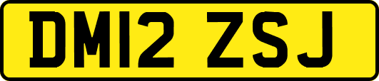 DM12ZSJ