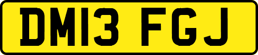 DM13FGJ