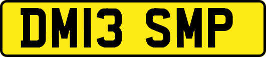 DM13SMP
