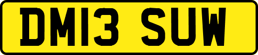 DM13SUW