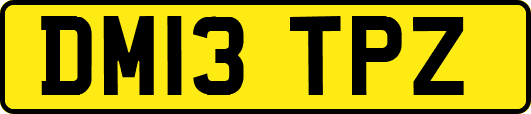 DM13TPZ