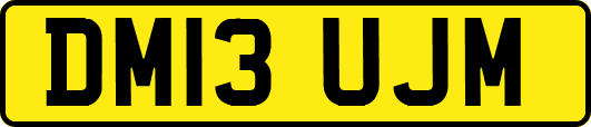 DM13UJM