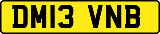 DM13VNB