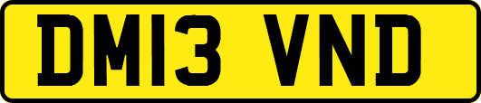 DM13VND
