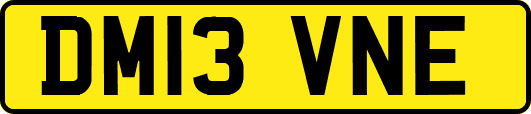 DM13VNE
