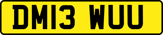 DM13WUU