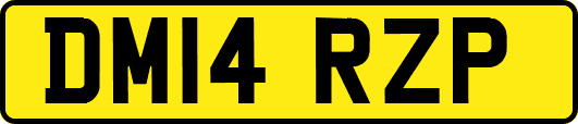 DM14RZP