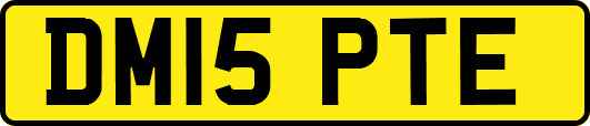 DM15PTE