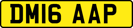 DM16AAP