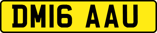 DM16AAU
