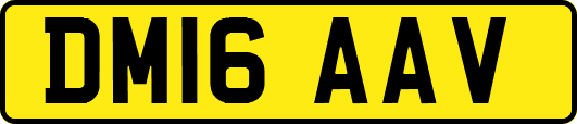 DM16AAV